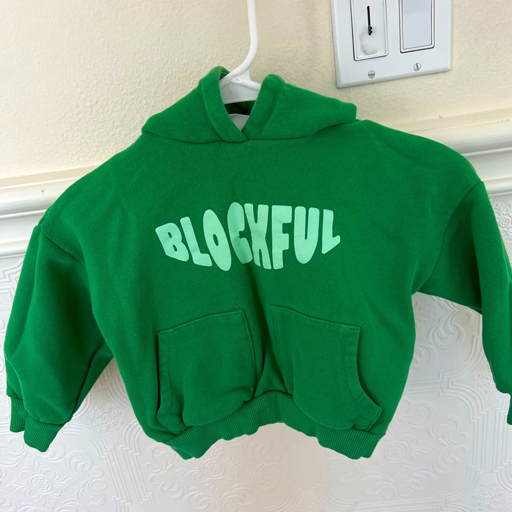Zara hoodie